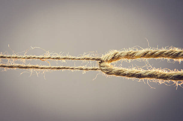 istock Small Business Can Compete in a Big Business World. 622962014