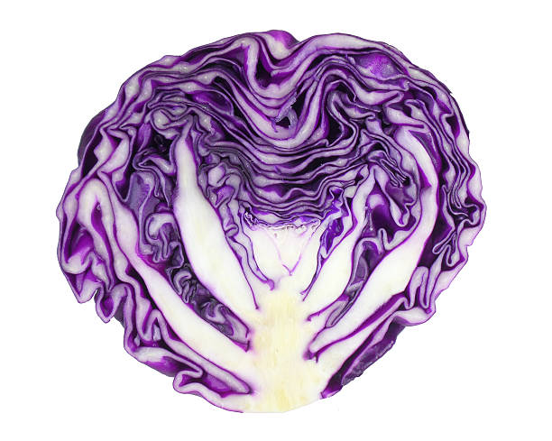 istock Fresh purple cabbage cut in half isolated on white background 622962336