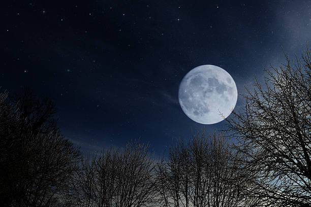 istock Dark forest at night with  full super moon 622967244