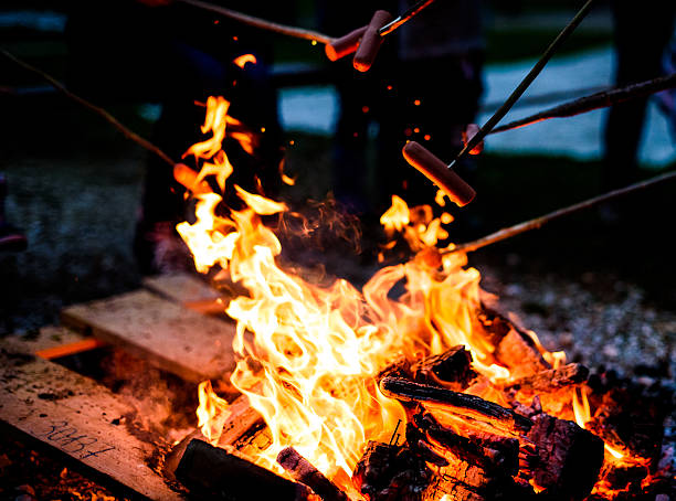 istock Making and cooking Hot dog sausages over open camp fire. 622968232