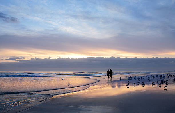 pareja de ancianos cogiendo de la mano disfrutando del tiempo en la playa al amanecer. - picturesque america or the land we live in fotografías e imágenes de stock