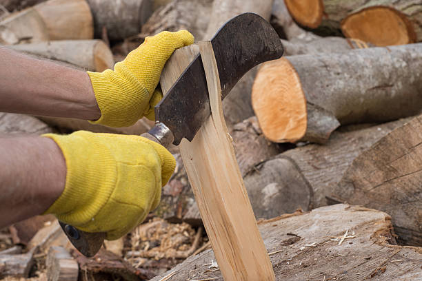 istock Gloved Hands Cutting Firewood with Reaping Hook 622970644