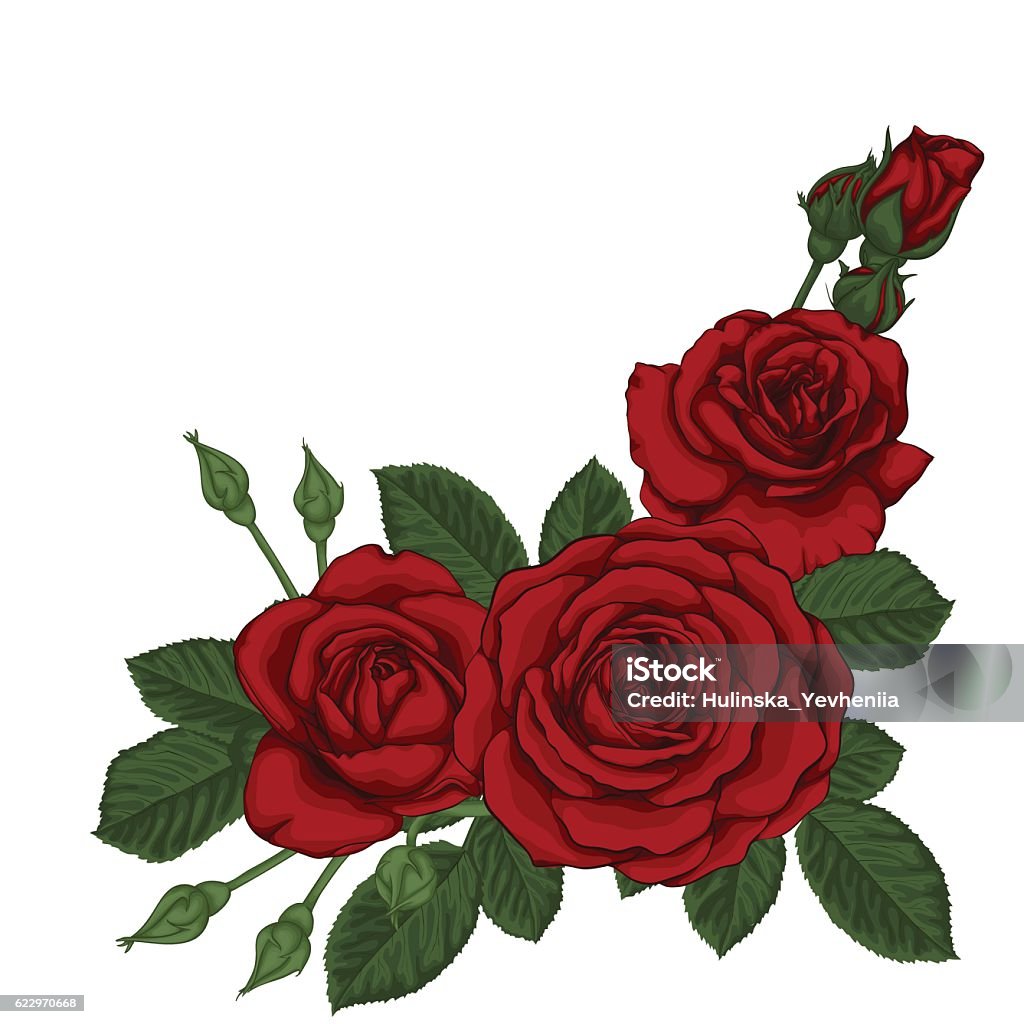 beautiful bouquet with three red roses and leaves. Floral arrangement. beautiful bouquet with three red roses and leaves. Floral arrangement. design greeting card and invitation of the wedding, birthday, Valentine's Day, mother's day and other holiday. Rose - Flower stock vector