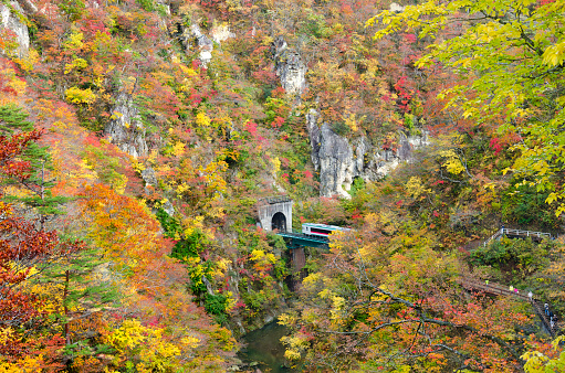 Autumn Colors of Naruko Gorge in Japan. 