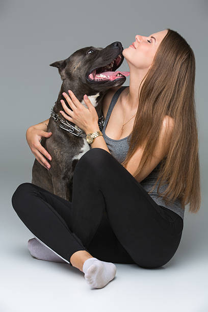 istock Beautiful girl with grey stafford terrier 622973202