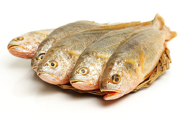 Yellow Croaker Fish Yellow Croaker Fish On White background raw croaker fish stock pictures, royalty-free photos & images