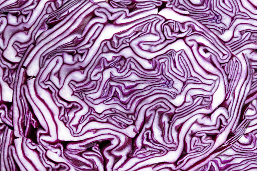 Pattern in red cabbage