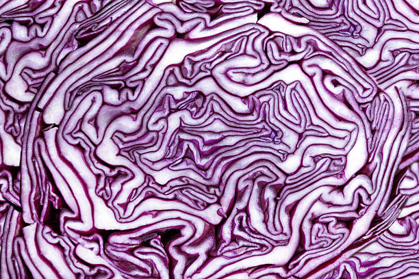 Pattern in red cabbage Abstract pattern in a cut red cabbage in close-up red cabbage stock pictures, royalty-free photos & images