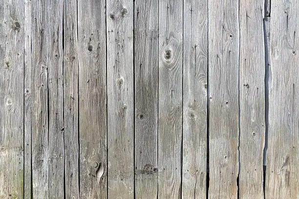 Old, gray, weathered wooden wall made of vertical boards in close-up 