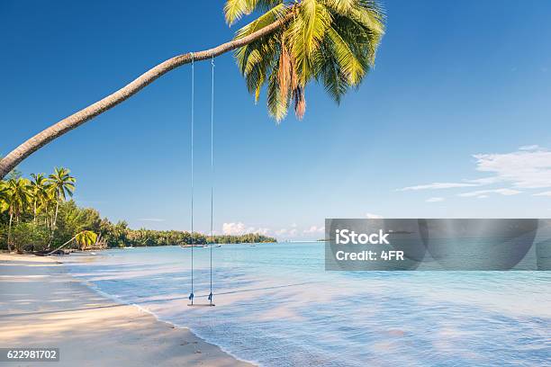 Lonely Swing Khao Lak Thailand Stock Photo - Download Image Now - Khao Lak, Beach, Thailand