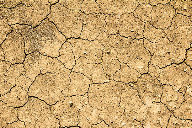 istock Cracked dry brown soil background, global warming effect 622987644