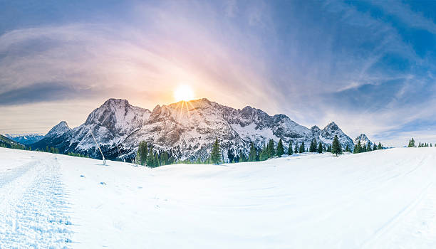 Snowy panorama with the Austrian Alps, the green coniferous forests and a valley covered by white snow.