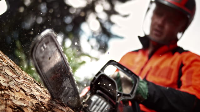 SLO MO LD Logger bucking a tree with a chainsaw