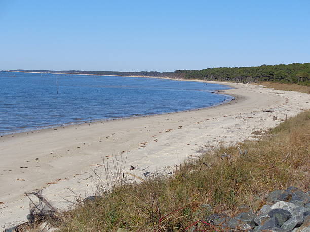 istock Eastern Shore of Virginia Bayside Beach 623059488