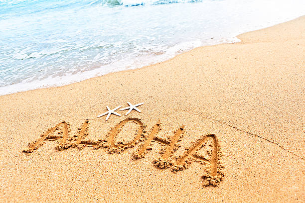 aloha saluto dalla spiaggia di hawaii - oahu water sand beach foto e immagini stock
