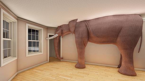 Elefante nel soggiorno rendering 3d - foto stock