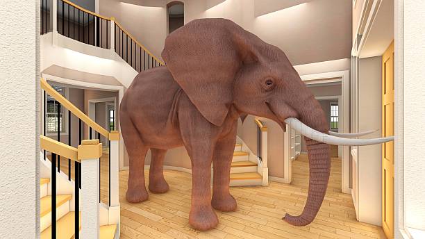 istock Elephant in the living room 3d rendering 623062634