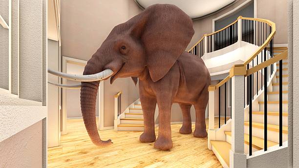 istock Elephant in the living room 3d rendering 623062682