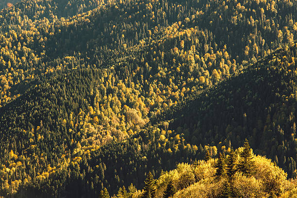 istock panoramic view of autumn in the mountains 623062732