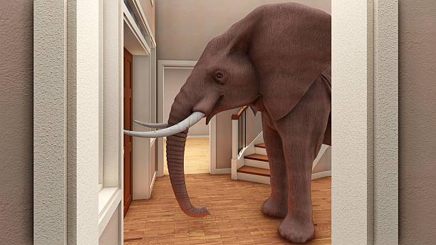 istock Elephant in the living room 3d rendering 623062768
