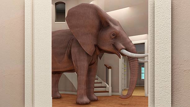 istock Elephant in the living room 3d rendering 623062810