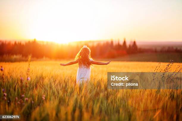 Kleines Mädchen In Weißem Kleid Im Feld Bei Sonnenuntergang Stockfoto und mehr Bilder von Kind