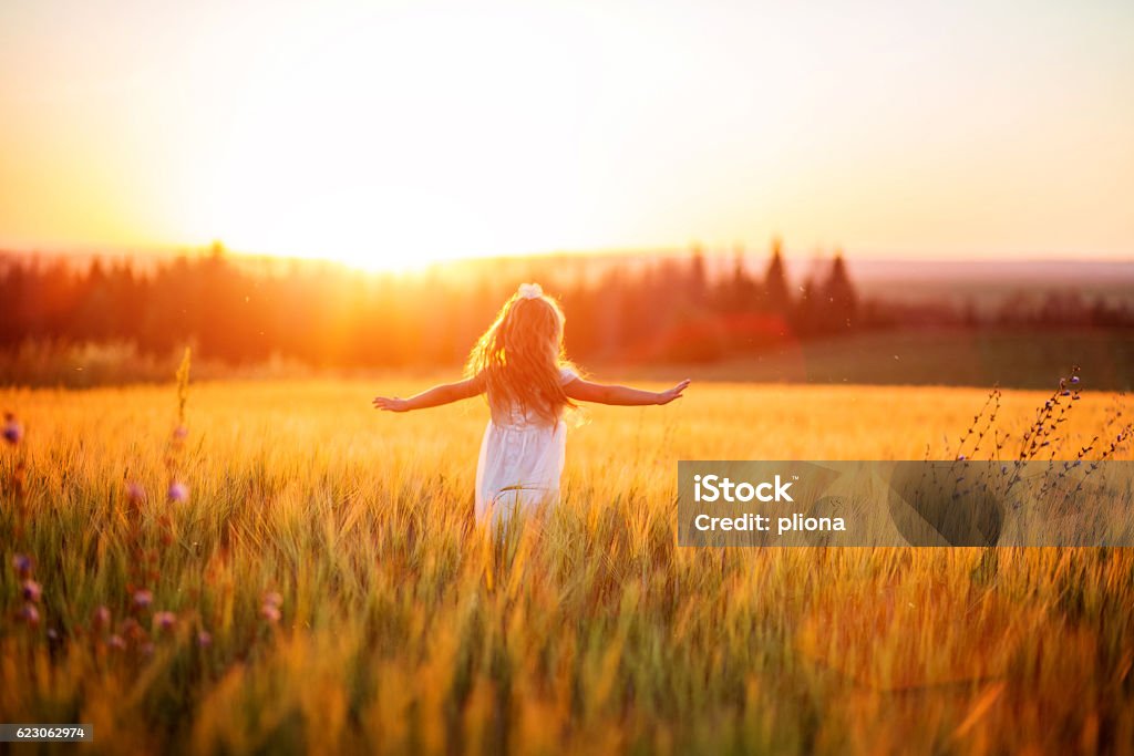 Petite fille en robe blanche dans le champ au coucher du soleil - Photo de Enfant libre de droits