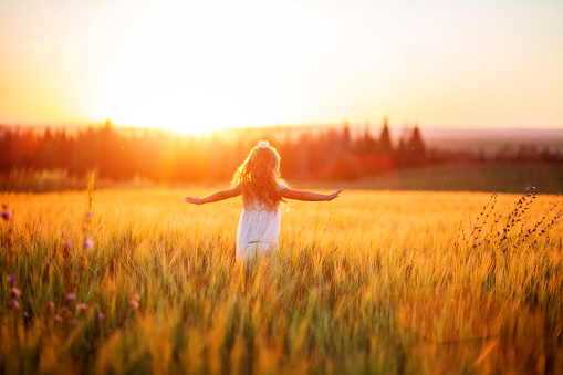 Little girl in white dress in field at sunset