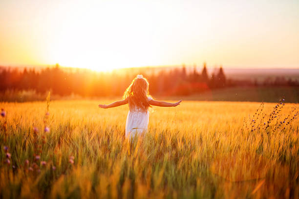 Little girl in white dress in field at sunset Little girl in white dress in field at sunset contains people stock pictures, royalty-free photos & images