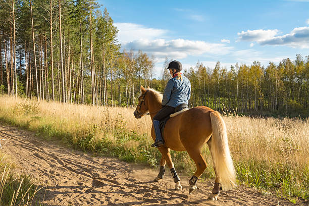 istock Woman horseback riding 623063888