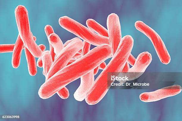 Bacteria Mycobacterium Tuberculosis Stock Photo - Download Image Now - Tuberculosis Bacterium, Mycobacterium, Bacterium