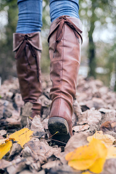 istock Walking in autumn or winter 623067612