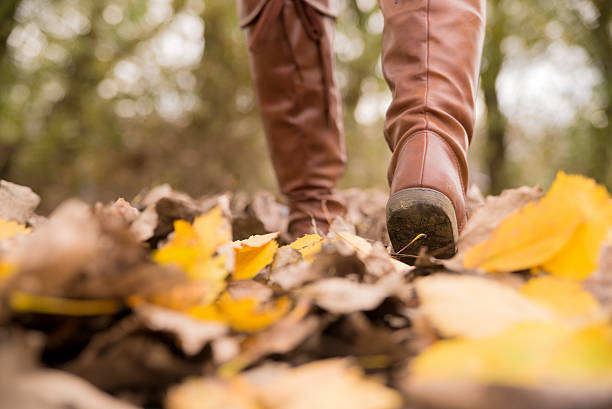 istock Woman Walking through the autumn leaves 623067784