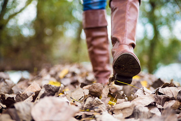 istock Woman Walking through the autumn leaves 623067896