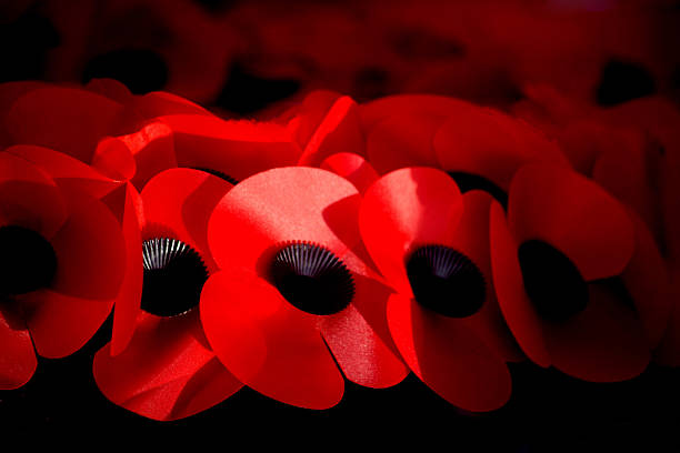 Remembrance Day Abstract Remembrance Day Poppies oriental poppy stock pictures, royalty-free photos & images