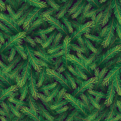 Winter background with pine branch. Vector floral pattern.