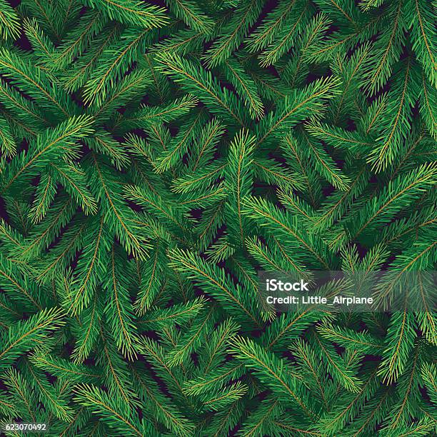 Pine Branch Card Stock Illustration - Download Image Now - Pine Tree, Pine Wood - Material, Fir Tree