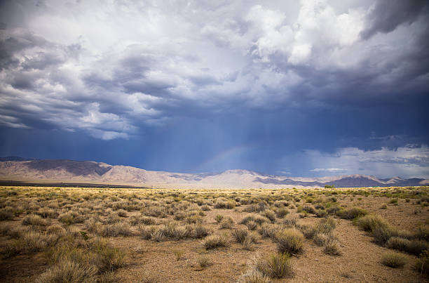 istock Desert Storm Approaching in Arizona 623070524