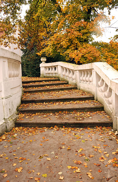 istock fallen leaves on stone staircase autumn season 623093714
