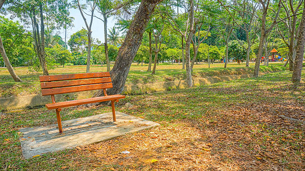 istock Bench in the park. HDR process on 3 exposures 623095080