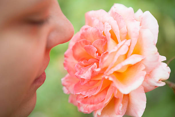 Portrait of happy young beautiful Spanish woman smiling while holding flowers at public park in Bangkok vertical shot