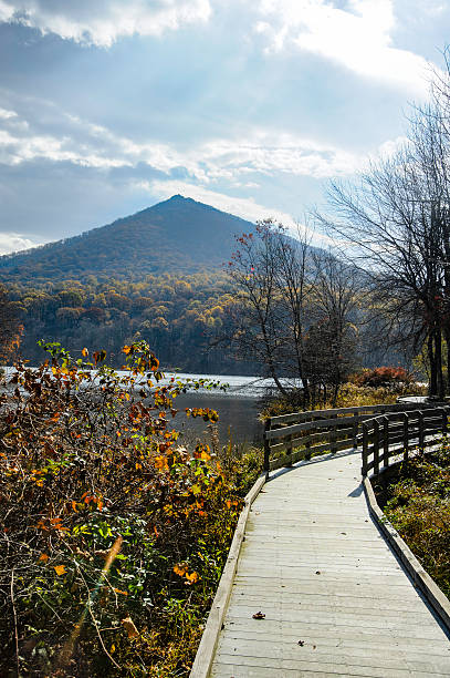 istock Boardwalk Along the Lake by a Mountain 623097874