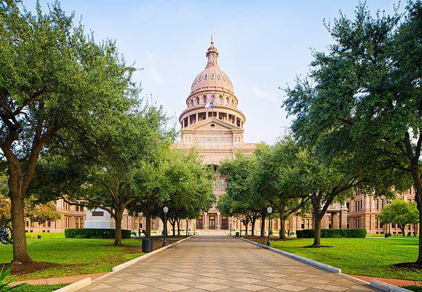 camino bordeado de árboles al capitolio de texas en austin - texas state flag texas dome austin texas fotografías e imágenes de stock