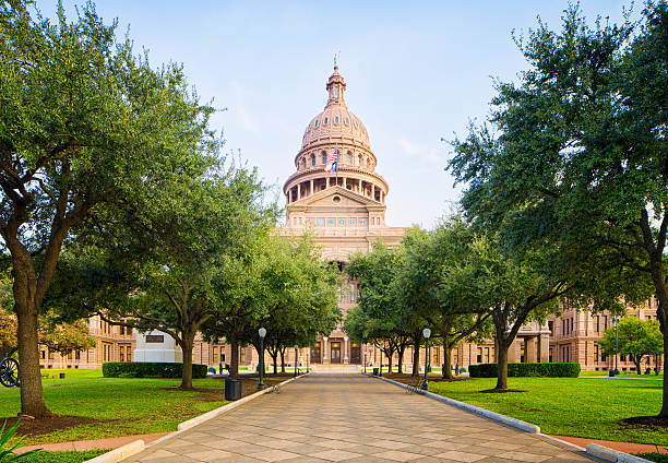 Tree lined pathway to Texas Capitol in Austin Tree lined pathway to Texas Capitol in Austin capital cities stock pictures, royalty-free photos & images