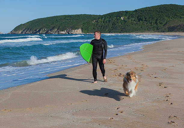 コリー犬の友人と疲れたサーファーはサーフボードを運ぶ - wave breaking ストックフォトと画像