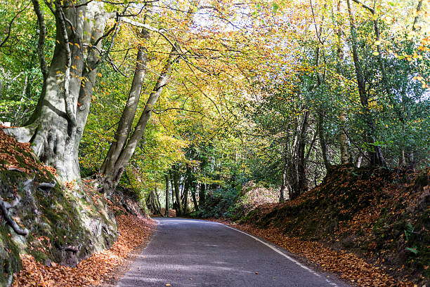 route vide à box hill, surrey, angleterre, royaume-uni - north downs scenics western europe southeast england photos et images de collection