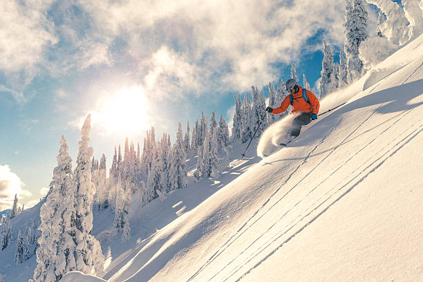 Powder skiing Skier on powder slope. skiing photos stock pictures, royalty-free photos & images