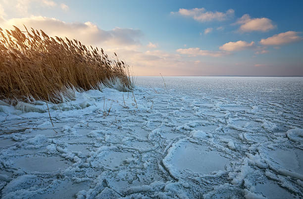 istock Winter landscape with frozen river and reeds. 623102244