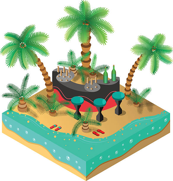 ilustraciones, imágenes clip art, dibujos animados e iconos de stock de isla tropical  - focus on shadow vacations outdoors digitally generated image