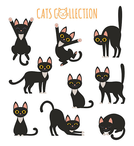 ilustraciones, imágenes clip art, dibujos animados e iconos de stock de colección de gatos negros - ojos amarillos